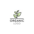 Logo for Organic Vegan Healthy Shop or Store. Green Avocado with Leafs Symbol