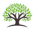 Ecology family tree logo