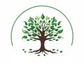 Logo of a simple tree with pointed leaves and a semicircle surrounding it, with some leaves next to the roots. Concept of natural