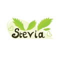 Logo with stevia leaves and an inscription. Sugar substitute for diabetics. Template for printing