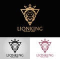 Lion Logo. Premium Lion business symbol.