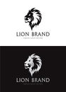 Lion Logo. Premium Lion business symbol.