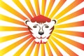 Logo tiger lion wild cat background Royalty Free Stock Photo