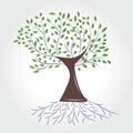 Logo tree with roots ecology symbol icon logotype vector Royalty Free Stock Photo