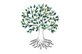 Logo tree roots ecology vector icon Royalty Free Stock Photo