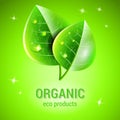 Logo of two green leaves for bio organic ecological products