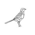 Logo vector illustration of birds using line art