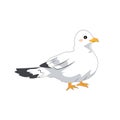 Logo vector illustration seagull bird Royalty Free Stock Photo