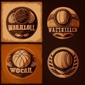 Logo volley ball sport vector template