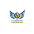 Logo of Volleyball, Volleyball Club Embleem, Volleyball Team Logo, Wing Logo