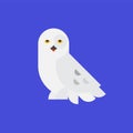 Logo of the white owl. Illustration of a polar owl. Vector icon. Flat style. Abstract icon of an owl. Image of an animal for the Royalty Free Stock Photo