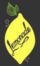 Logo word LEMONADE, stylized as sweet drinks - Vector