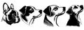 Dogs heads, vector black illustration, silhouette image