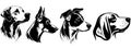 Dogs heads, vector black illustration, silhouette image