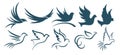 Logos birds. Royalty Free Stock Photo