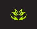 Logos green leaf ecology nature element vector icon Royalty Free Stock Photo