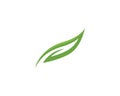 Logos of green leaf ecology nature element vector icon.