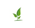 Logos of green Tree leaf ecology