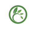 Logos of green Tree leaf ecology