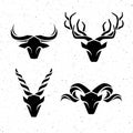 Logos horned animals.