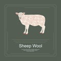 255 Logotype of sheep wool