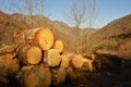 Logpile and mountains