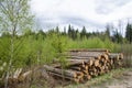 Logpile at spring Royalty Free Stock Photo