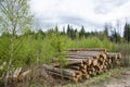 Logpile at spring