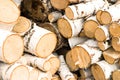 Logs Royalty Free Stock Photo