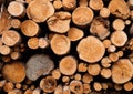 Logs as a background. Texture of natural wood. Royalty Free Stock Photo