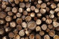 Many wood logs for background