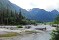 Logs at a bank of Baker River in North Cascades Royalty Free Stock Photo