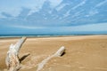 Oregon Sand Dunes National Recreation area Royalty Free Stock Photo