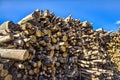 Logs Royalty Free Stock Photo
