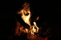 Logs burning in a desert campfire Royalty Free Stock Photo