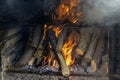 Logs burning fireplace Royalty Free Stock Photo