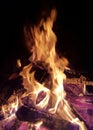 Logs burning in a fireplace Royalty Free Stock Photo