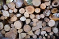 Logs chopped to firewood in winter seasons.