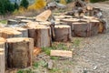 Logs of chopped trees lying Royalty Free Stock Photo