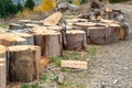 Logs of chopped trees lying