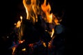 Logs and coal on fire Royalty Free Stock Photo