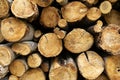 Logs, cut in various sizes Royalty Free Stock Photo
