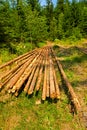 Logs Royalty Free Stock Photo