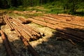 Logs Royalty Free Stock Photo