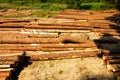 Logs Royalty Free Stock Photo
