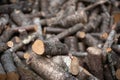 Logs drying with blurred background
