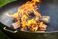 Logs on fire covered in burn marks during cookout