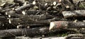 Logs fire wood Royalty Free Stock Photo