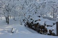 Logs for the fireplace at the fence in the snow