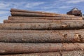 Logs folded into a big pile Royalty Free Stock Photo